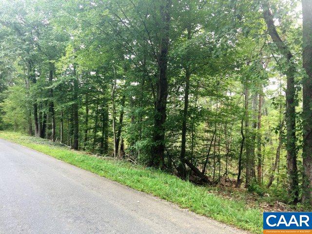 Twymans Mill Rd - Photo 1