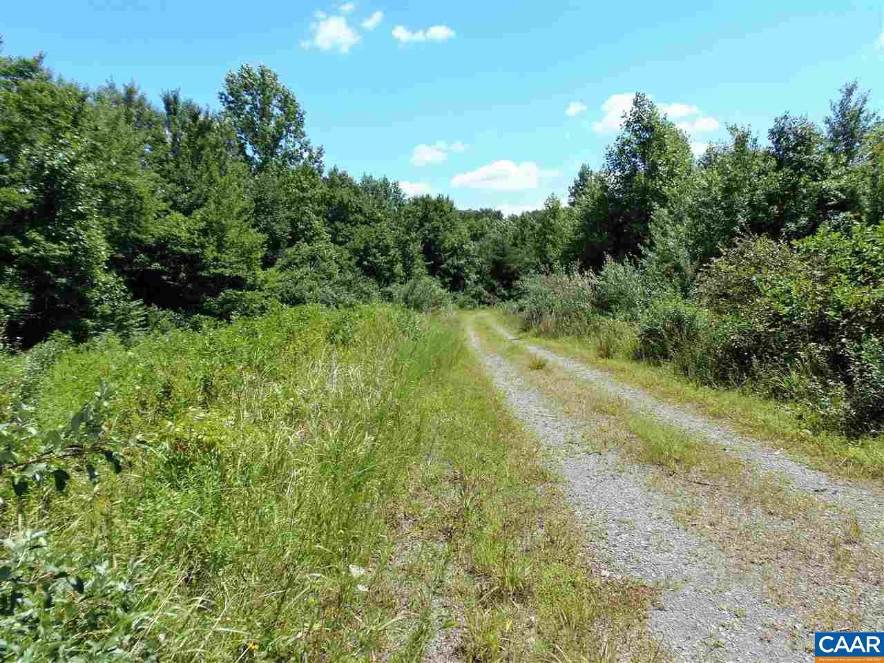 B4 Sandra Ln - Photo 1