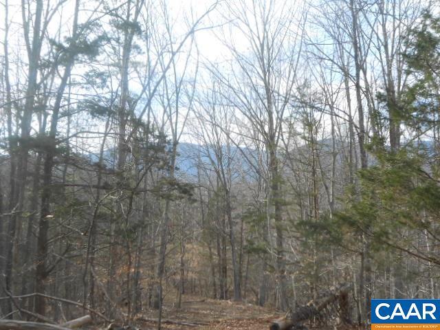 TBD Duncan Hollow Loop - Photo 1