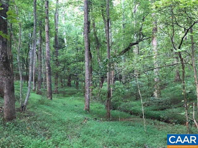 0 Dick Woods Rd - Photo 1