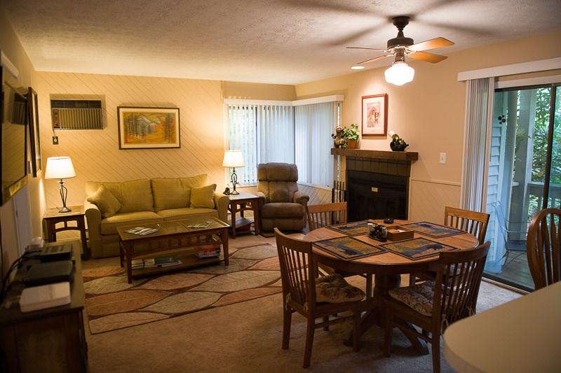 2214 Tanners Ridge Condos - Photo 1