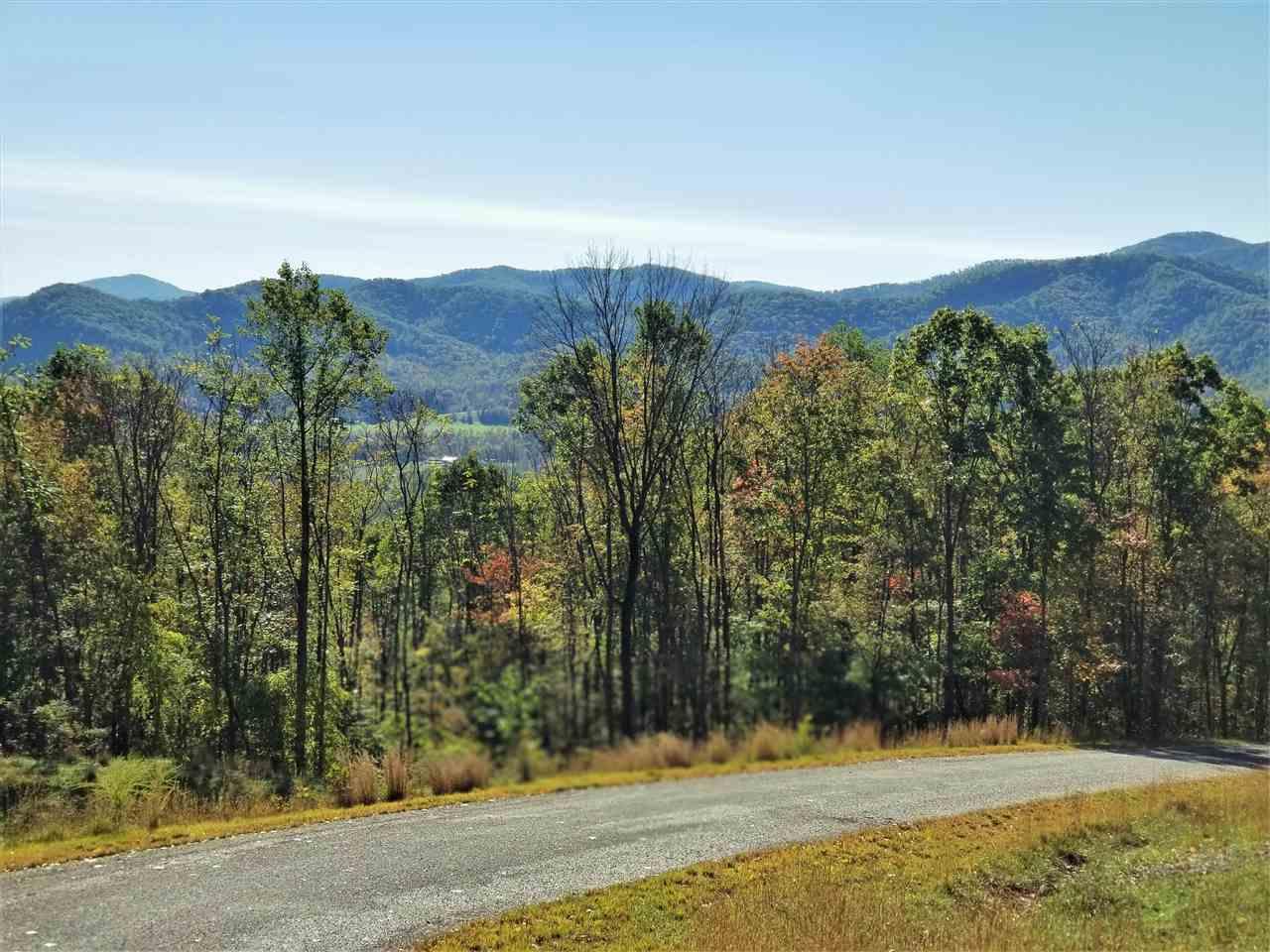 Lot 13 Rockfish Heights Ln - Photo 1