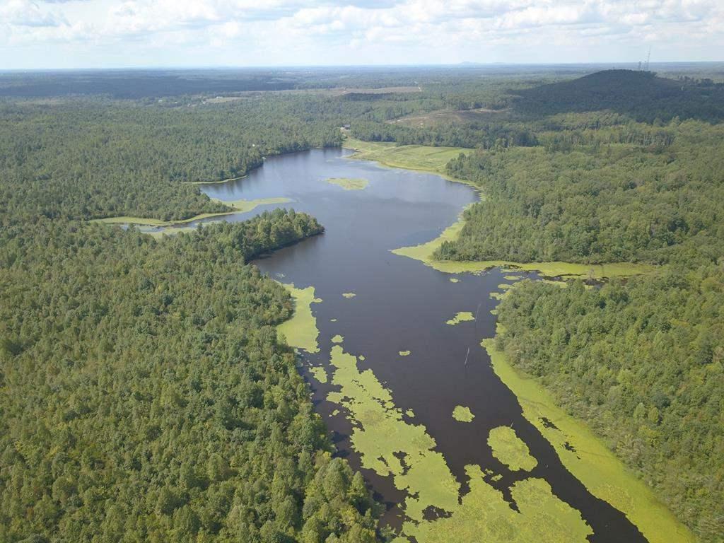 00 Mountain Creek Rd - Photo 1