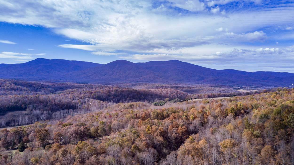 0 River Rd - Photo 1