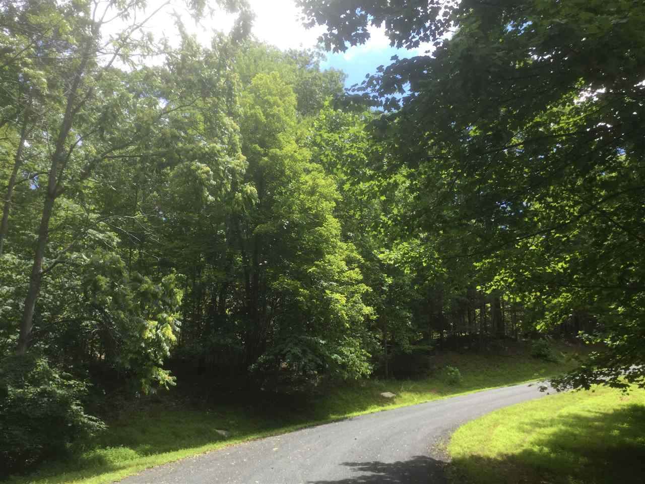 110 Wood Thrush Ln - Photo 1