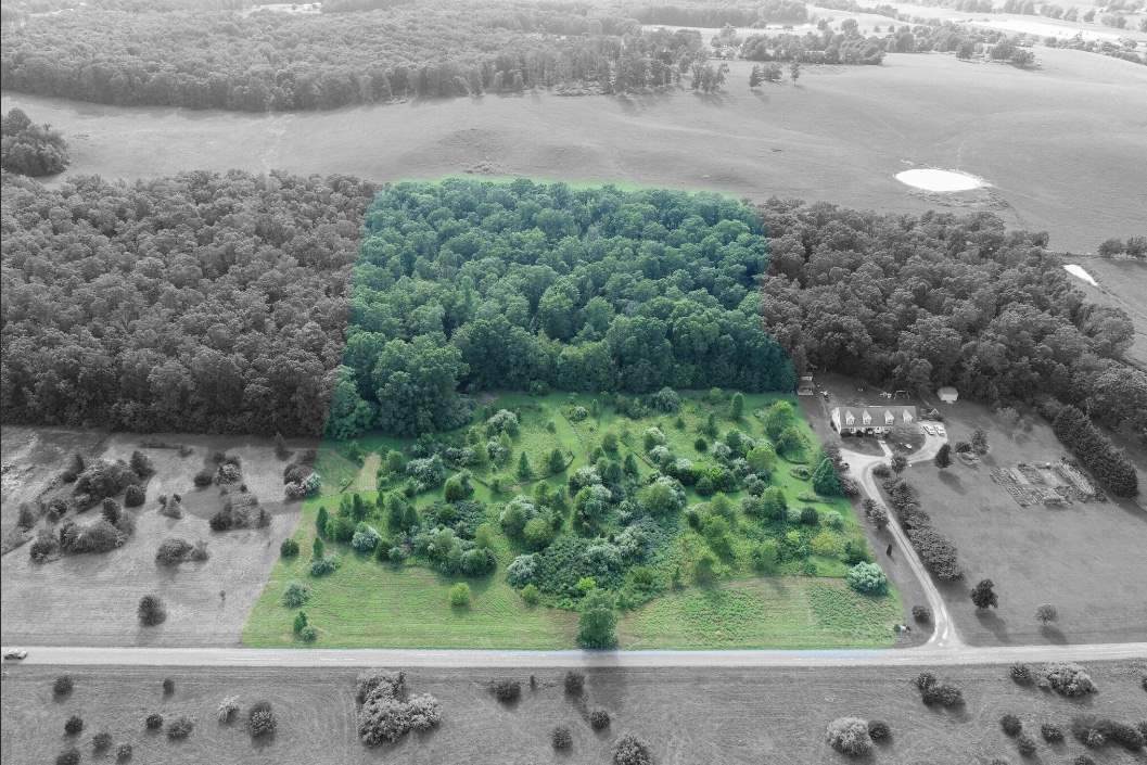 TBD Oak Dale Ln - Photo 1