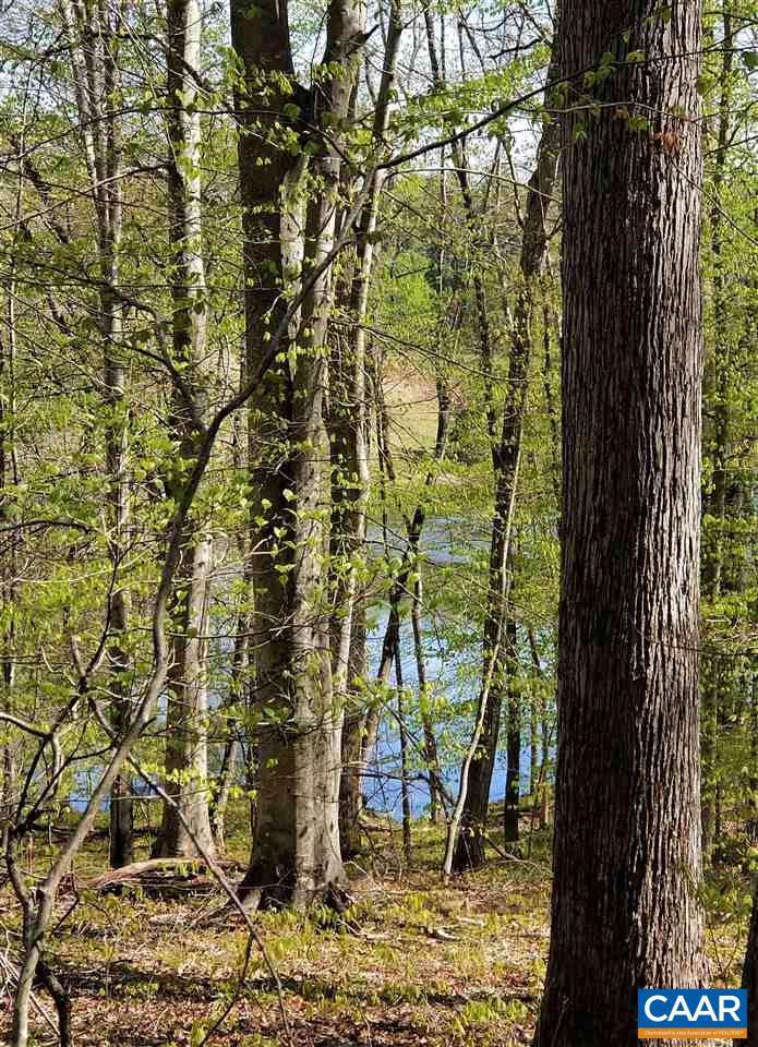 Lot 1D Wilhoits Mill Rd - Photo 1