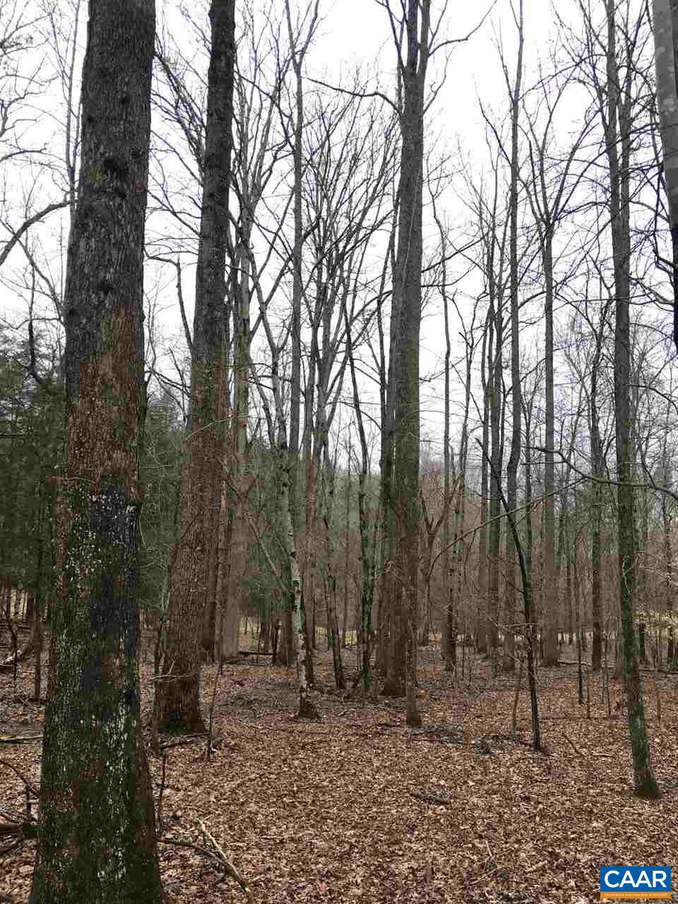 503 Garden Ln - Photo 1