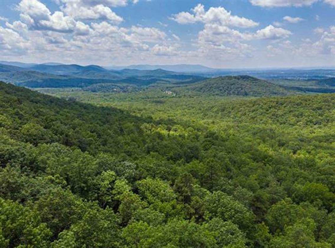 TBD Fox Run Ln - Photo 1