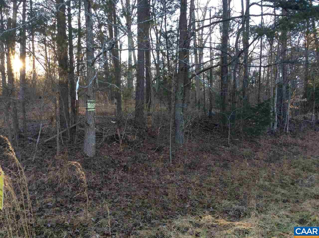 999 Three Notch Rd - Photo 1