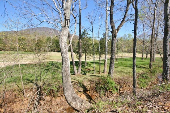 389 Hunters Pt - Photo 1