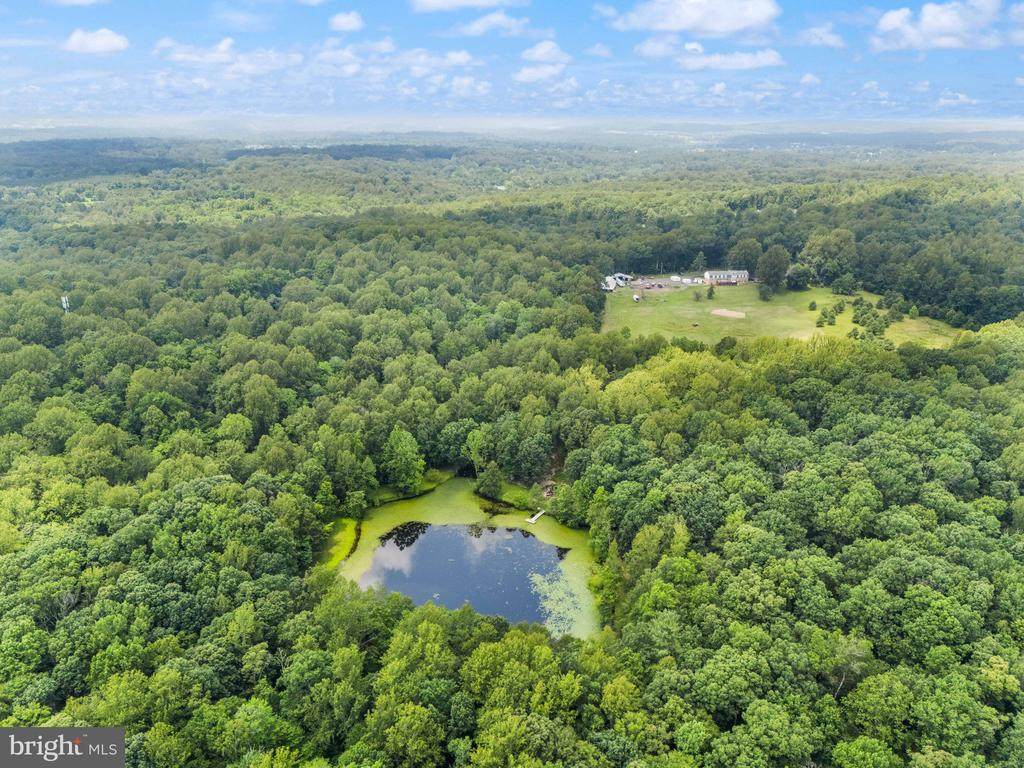 7511 Elmores Ln - Photo 1