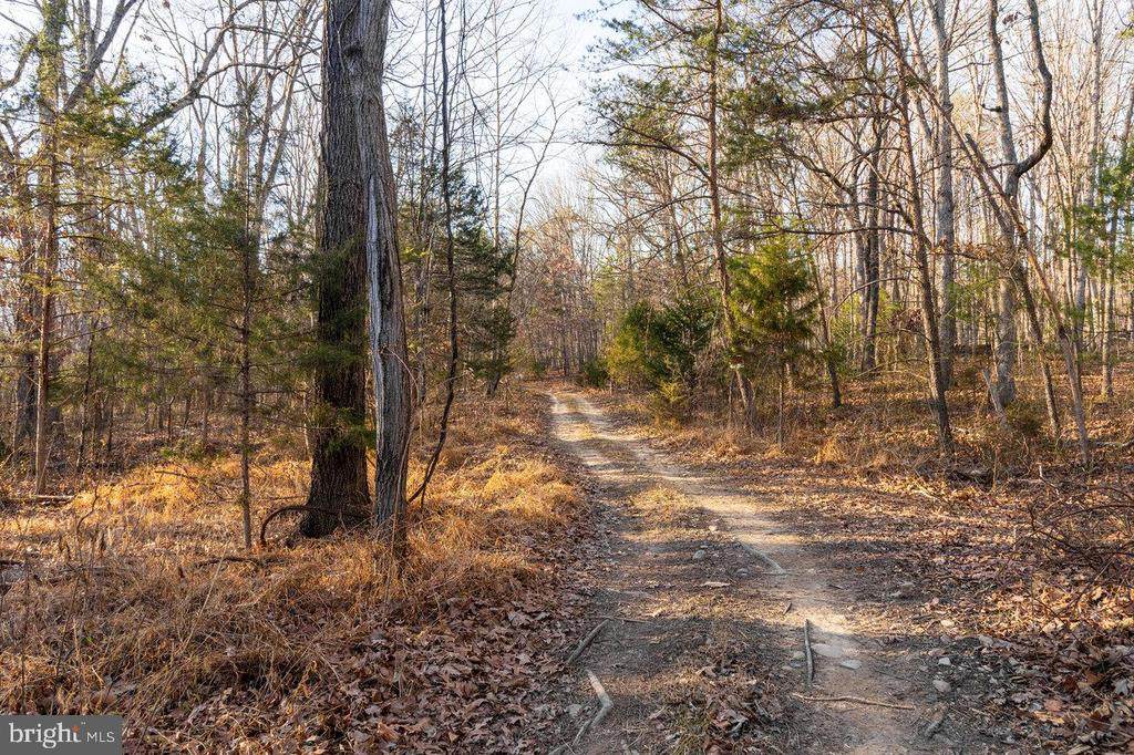 0 Woodland Dr - Photo 1