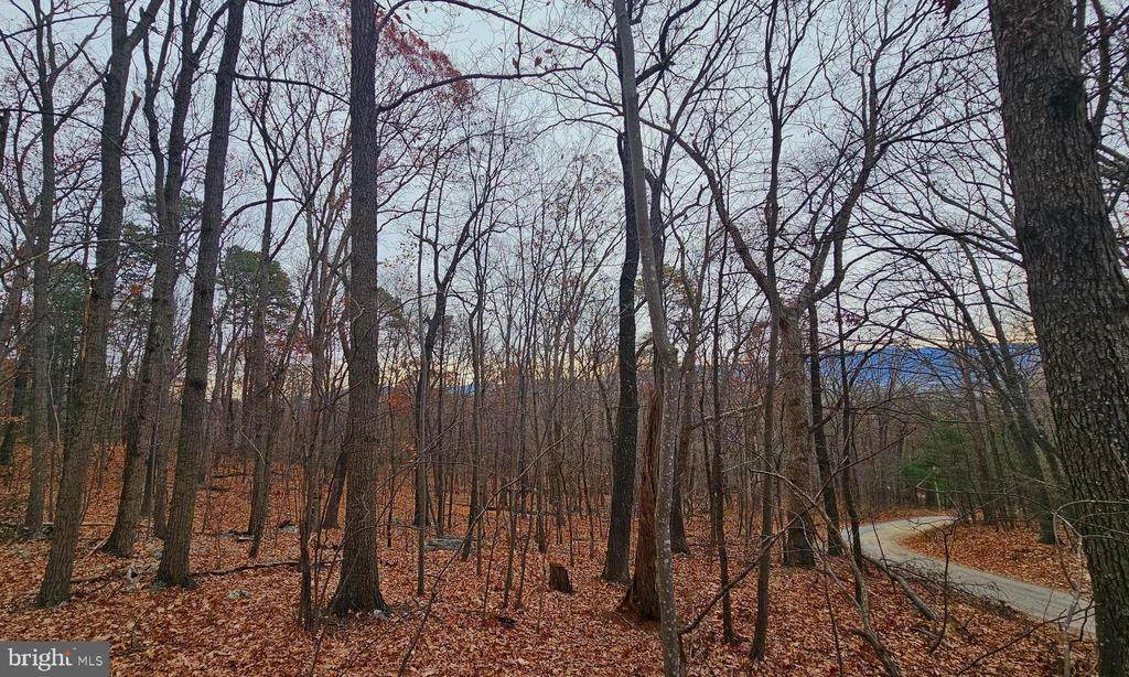  Forest Drive Ext - Photo 1