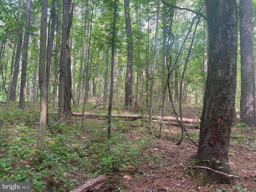 0 Thornton Gap Church Road - Photo 1