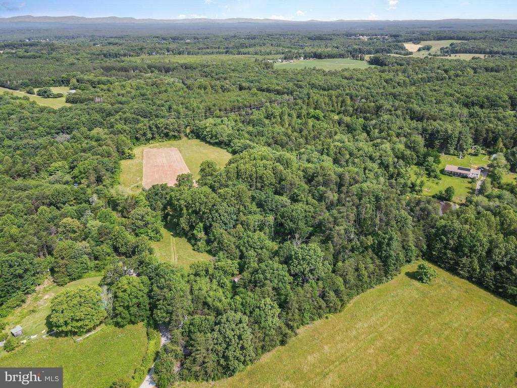 10017 Hayden Rd - Photo 1