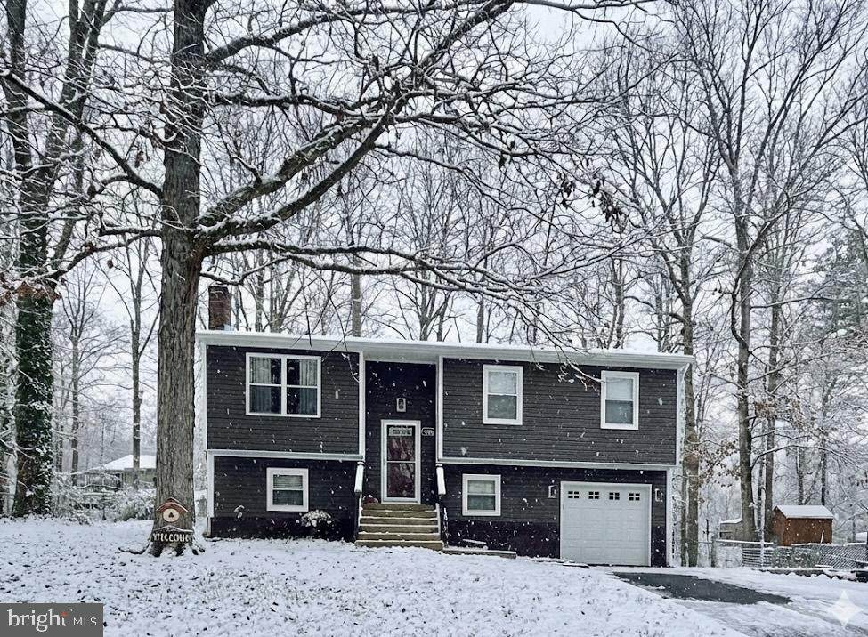 410 Albany St - Photo 1