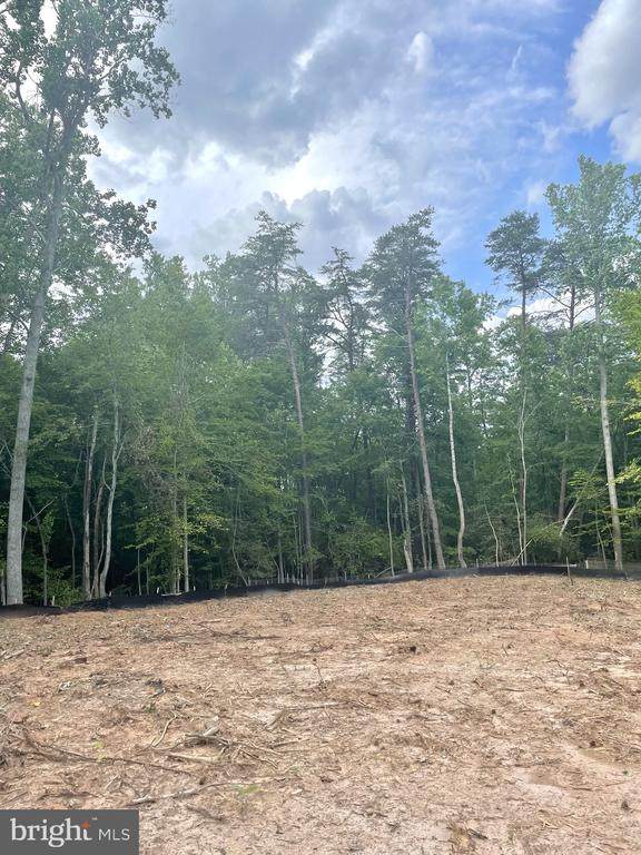 8109 River Rd - Photo 1