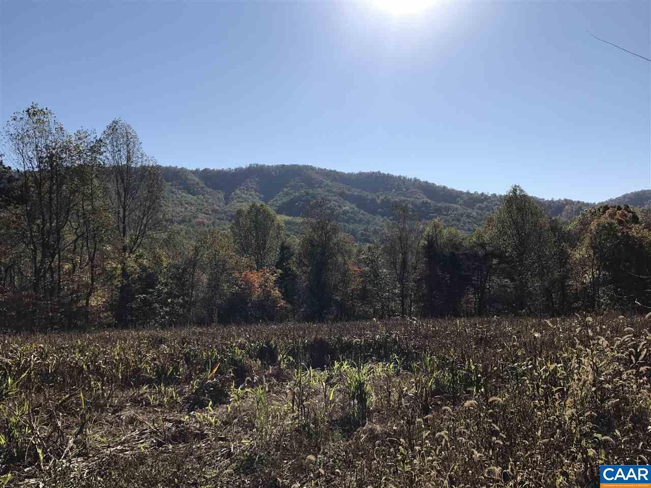 12017 Patrick Henry Hwy - Photo 1