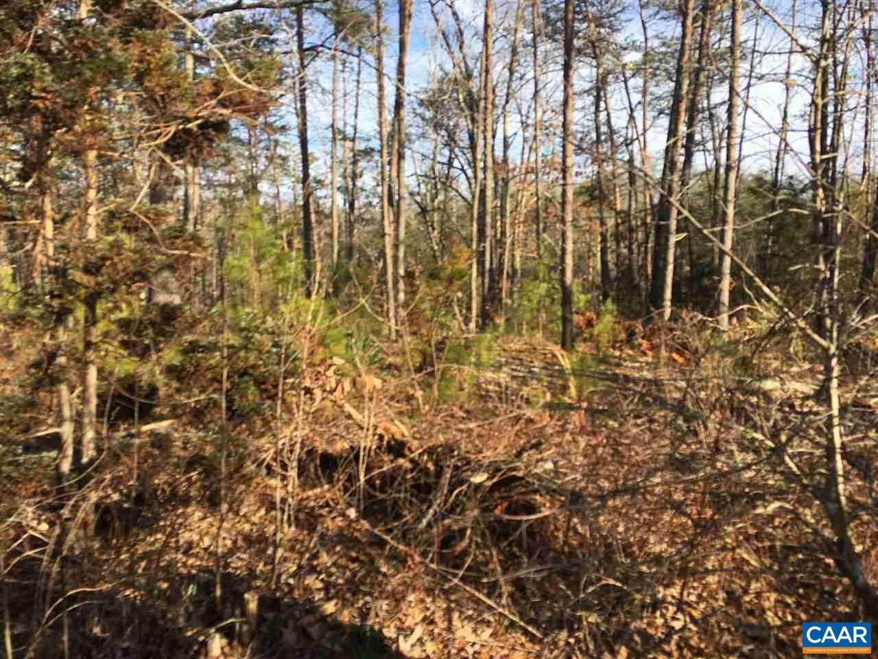 0 Springbranch Trl - Photo 1