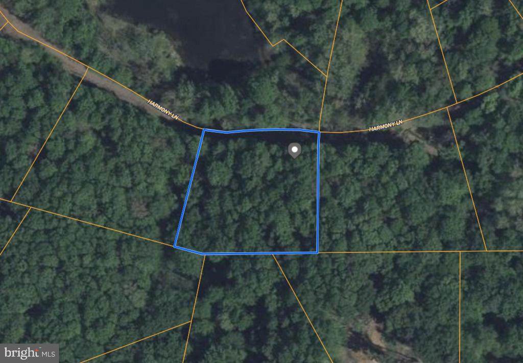  Harmony Lane - Photo 1