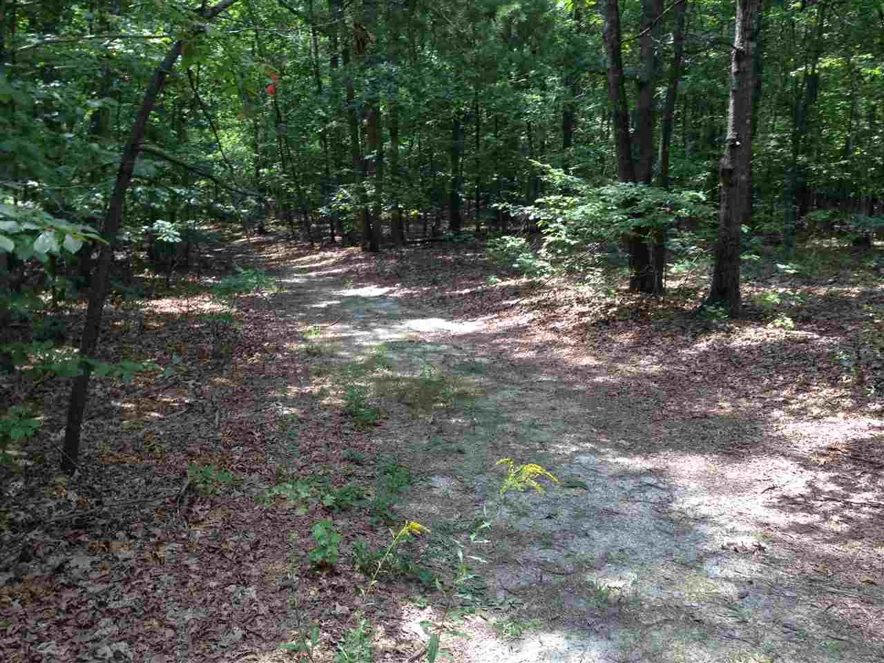 Lot Billy B Rd - Photo 1