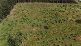 00 Holly Tree Drive - Photo 3