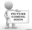 4007 Old Woodlawn Street - Photo 1