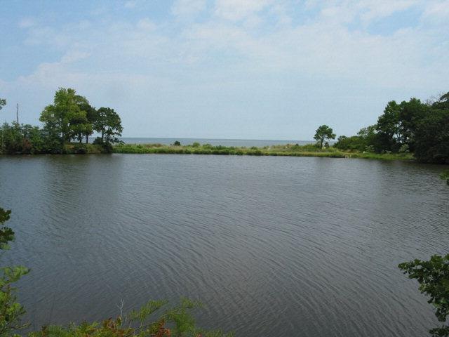 Lot 3 Teal Court - Photo 1