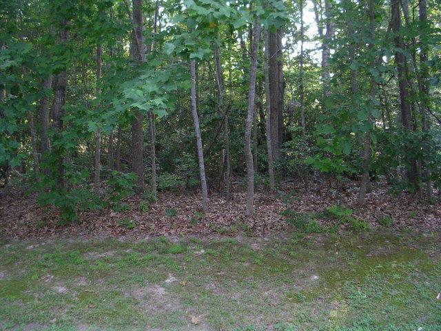 Lot 20 Wilton Cove Drive - Photo 1