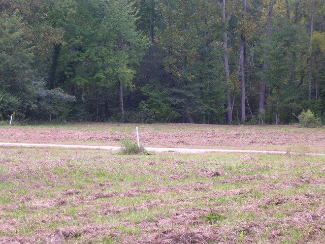 Lot 2 Kayak Cove Road - Photo 1