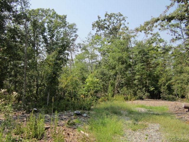 0 Lake Drive - Photo 1
