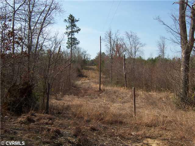 0 Mary Lee Drive - Photo 1