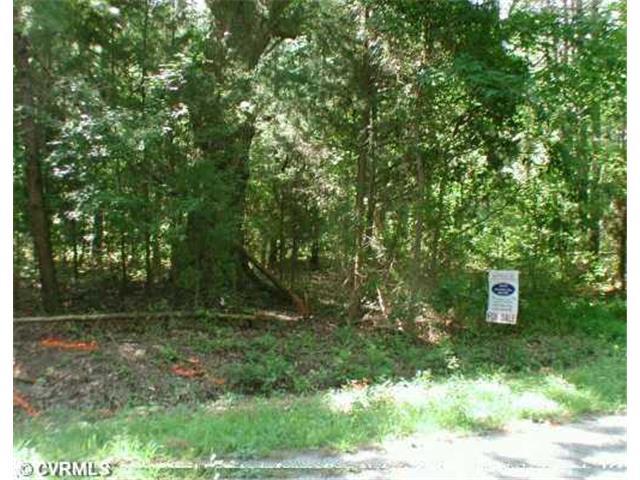 19.5 Acres Fort Huger Dr - Photo 1