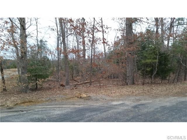 0 Bickings Lane - Photo 1