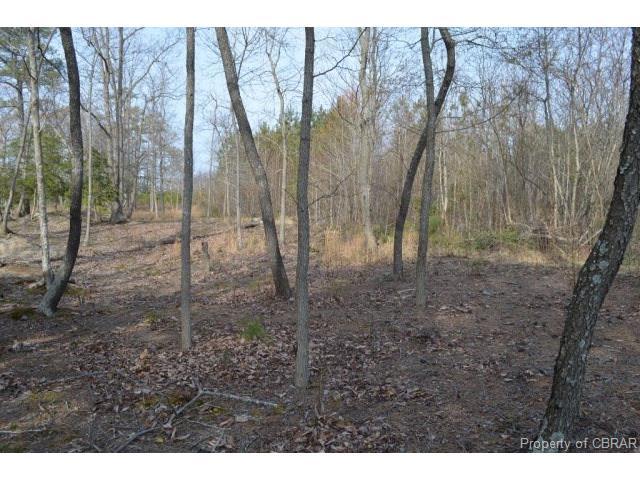 5 Corbin Lane - Photo 1