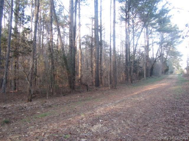 00 Old Pinetta Road - Photo 1