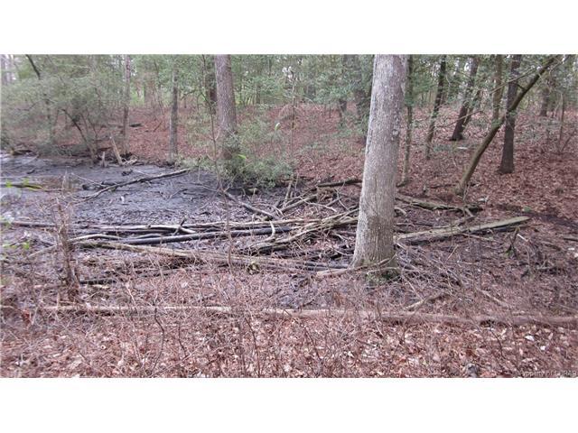 0 Lonesome Pines - Photo 1