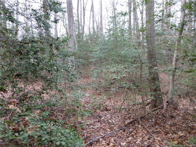 Lot 73 Wilton Coves Drive - Photo 1