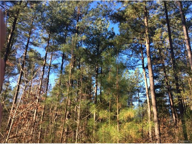 0 Tyler Station Road - Photo 1