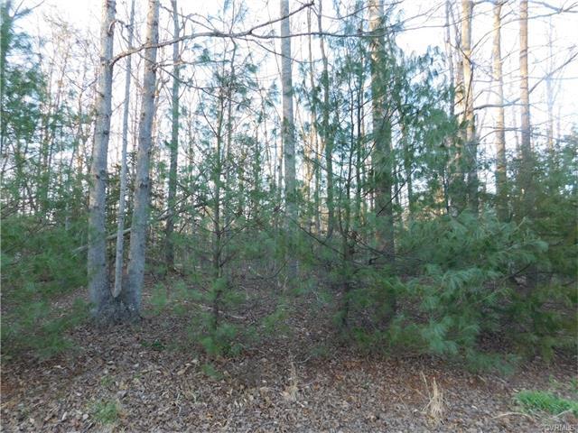 00 Harding Drive - Photo 1