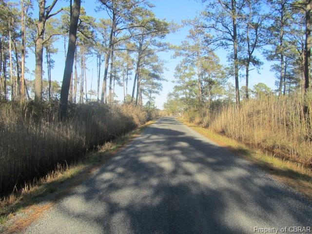00 Jenkins Neck Road - Photo 1