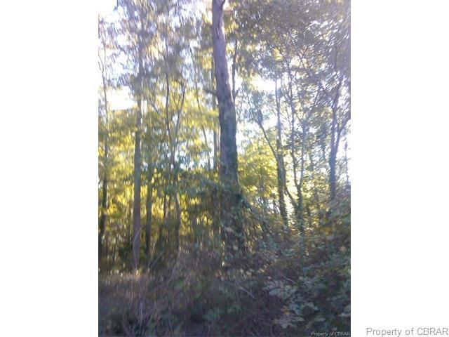 0 Kings Creek Road - Photo 1