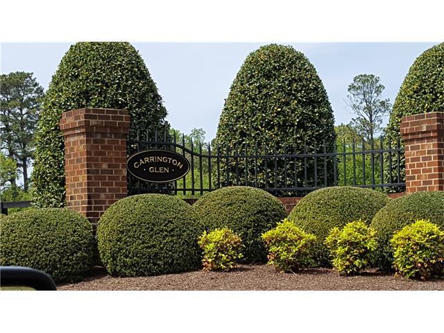 17544 Carrington Glen Lane - Photo 1