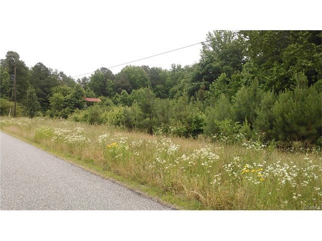 11199 Lucas Road - Photo 1