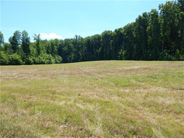 5245 Old Tavern Drive - Photo 1