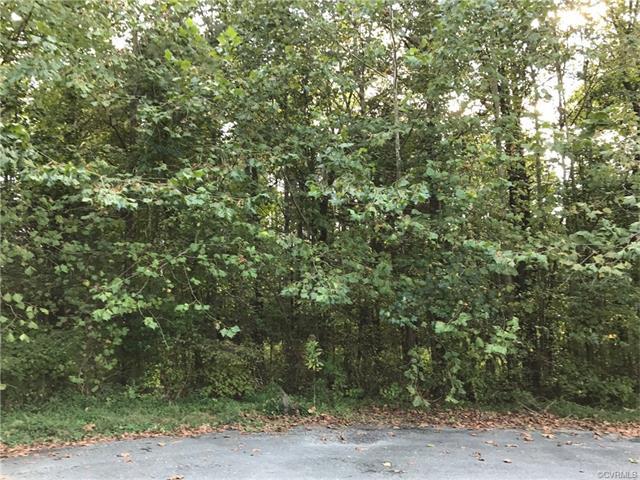 1 Shortleaf Lane - Photo 1