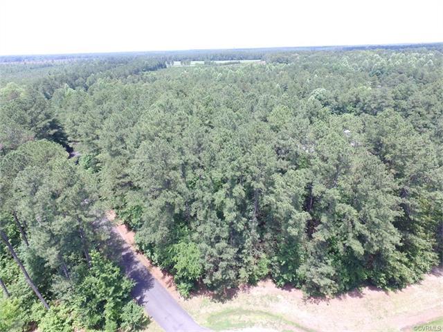 6.64 Ac Old Keswick Lane - Photo 1