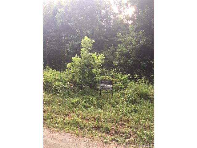0 Garland Town Road - Photo 1