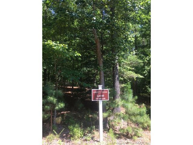 LOT 60 - Photo 1